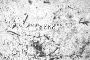 Dogs In Trees - Echo