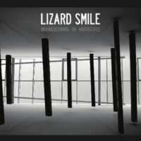 Lizard Smile - Wandering In Mirrors