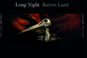 Long Night - Barren Land