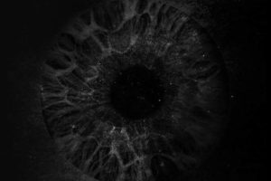 DDENT - Chien Noir