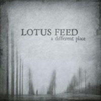 Lotus Feed - A Different Place