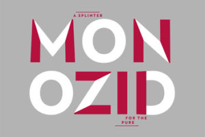 Monozid - A Splinter For The Pure