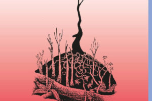 No Man's Land - Garden Of Love