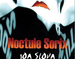 Noctule Sorix - Joa Slova