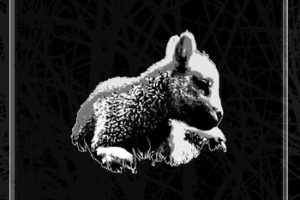 Noisedelik - In The Name Of The Father