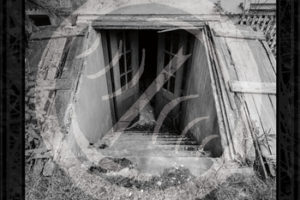 Orations - Orations