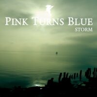 Pink Turns Blue - Storm
