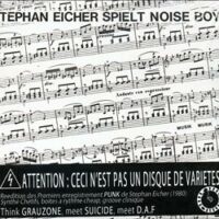 STEPHAN EICHER SPIELT NOISE BOYS -