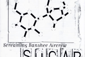 Screaming Banshee Aircrew - Sugar