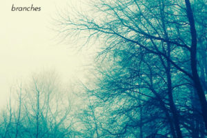The Autumn Sighs - Branches