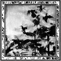 The Rip - The Rip