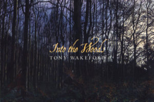 Tony Wakeford - Into The Woods