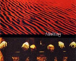 Usherhouse - Molting