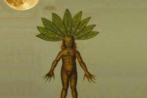 Compilation - Les Chants De La Mandragore