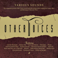 V/A Other Voices -