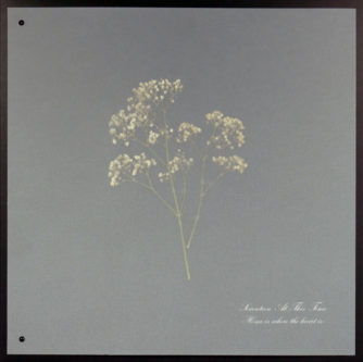 Seventeen At This Time - Home is where the Heart is