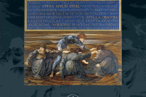 Opera Multi Steel - Stella Obscura