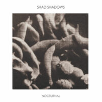 SHAD SHADOWS - Nocturnal