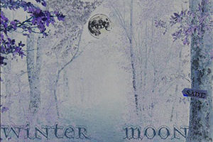 Compilation - Winter Moon