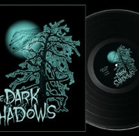 The Dark Shadows - Invisible