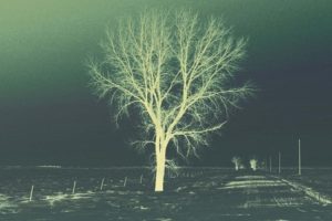 And Then We Fall - Soul Deserts
