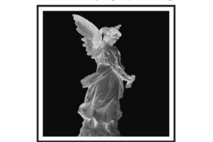Bat Nouveau - Metamorphoses