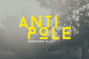 Antipole - Northern Flux