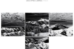 Des Ames Libres - Thick