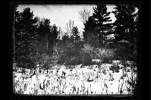 Joy Before The Storm - Silence Ever After
