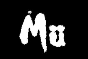 Joy/Disaster - Mü (black edition)