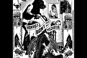 Konvoj Bonton Bajkera - Dve Konjske Snage