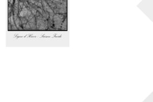 Ligne Froide - Ligne d'Hiver / Saison Froide