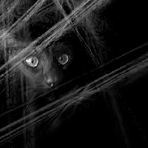 Luminance - The Light Is Ours