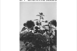 Lust For Youth - Growing Seeds