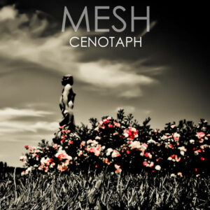 Mesh - Cenotaph