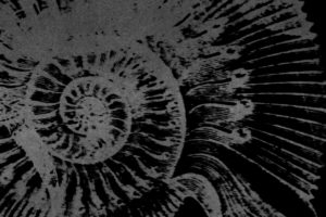 Moduretik - Retrospektiva
