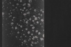 Motorama - Poverty