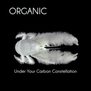 Organic - Under Your Carbon Constellation
