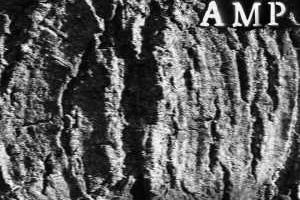 Salvation AMP - Hidden Faces