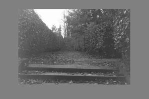Shadowplay - From Darkness To Light