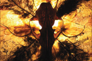 Silent Scream & Murnau´s Playhouse - Bones From the Backyard (Split Album)