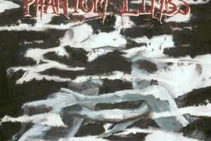 The Phantom Limbs - Displacement
