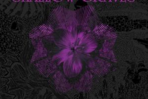 The Shallow Graves - Smoke-Screen For Your Broken Dream