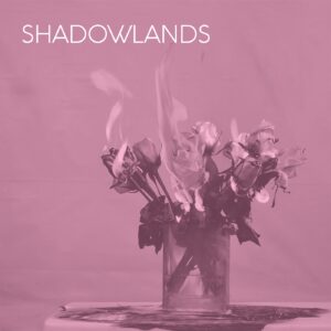 Vinyl-Shadowlands-003