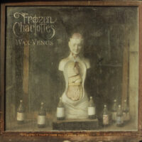 Frozen Charlottes "Wax Venus"