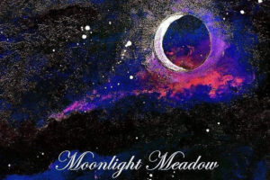 Moonlight Meadow - Moonlight Meadow