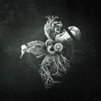 Your Life On Hold "Echoes from the Bardo"