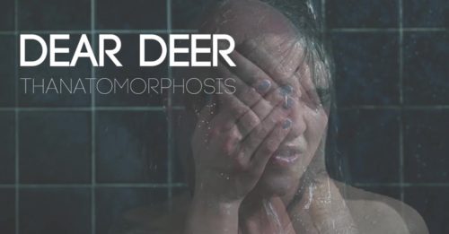 dear deer thanatomorphosis