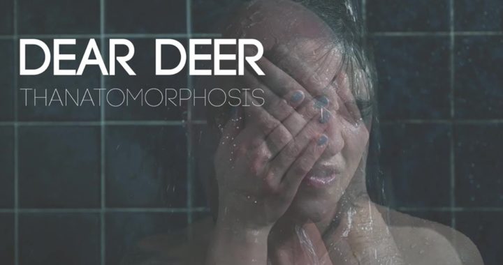 dear deer thanatomorphosis