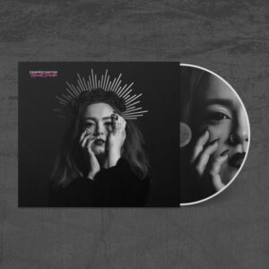 THE MIDNIGHT COMPUTERS ROMANTIC DISASTER